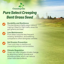 Outsidepride Pure Select Creeping Bent Grass Seed - 25 lbs. Premium Turf Grass for Putting Greens, Tees & Fairways, Dense & Fine-Textured Lawn Seed for Smooth, Professional-Quality Golf Greens & Lawns
