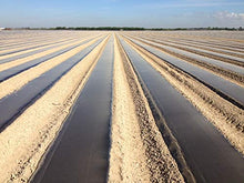 4ft x 5000ft x 0.8mil Black Embossed Photo Degradable Plastic Mulch