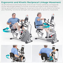Inverapy Recumbent Cross Trainer with Swivel Seat & Leg Harness White/Gray/Black