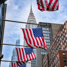 American Flags for Outside 3X5 (Pack of 10) -American Flag made in USA with Embroidered Stars and Sewn Stripes US Flag 3x5 Heavy Duty Outdoor Made in USA for High Wind- All Weather Flags