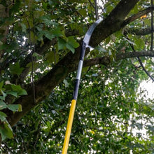 BERGER ArboRapid Telescopic Pole Saw Set – 4-Part Professional Arborist Tool, Extends from 5.7 to 19.7 Ft, Fiberglass Design, 15.7" Aggressive Cut Blade, Tree Pruner – 77049