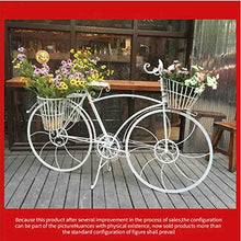 OJKJGYTF Tricycle Plant Stand Flower Pot Cart Holder Ideal for Home, Garden, Patio Great Gift for Plant Lovers, Housewarming, Mother's Day