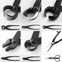Wazakura Made in Japan 6PCS Bonsai Professional Tool Kit with Roll Bag: Japanese Yasugi Steel Satsuki Bonsai Scissors, Concave Branch Cutter, Knob Cutter, Jin Plier, Wire Cutter, Root Cutter