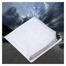 ALGFree-Shade Tarpaulin Transparent Tarp Sheet Greenhouse Plastic Sheet PVC Tarp Cover for Garden Terrace Plant Shed Canopy Cover with Eyelets Thickness 0.5mm (Color : White, Size : 20x20m)