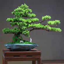 Bonsai Simulation Bonsai Tree Living Room Wigwam Landscaping Entryway Cabinet Decoration Ornaments Plant