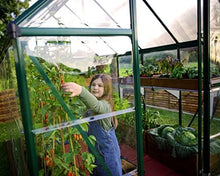 Palram - Canopia Hybrid 6' x 8' Polycarbonate Aluminum Greenhouse, Green