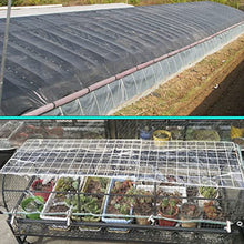SCNSYL Transparent Waterproof Tarp 29.5x29.5ft,Heavy Duty PVC Clear Tarpaulin Sheet,Rainproof Outdoor Garden Plant Canopy Cover,Tarp with Grommets,Transparent