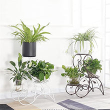Metal Plant Stand, Indoor Flower Pot , Living Room And Balcony(Black)
