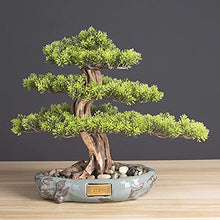LSHAOBO Artificial Bonsai Tree Realistic Faux Bonsai Tree, Houseplant, Black Ceramic Round Pot and Pebbles Desktop Decoration Novelty Gifts(Color:B)