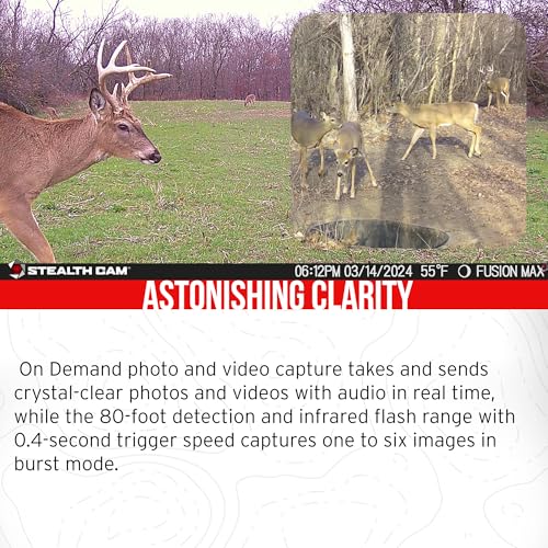 Stealth Cam 36MP Fusion Max Cellular Trail Camera Bundle with Solar Power Panel and Memory Cards