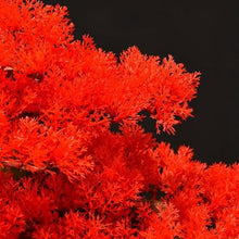YXIANG56Q Fake Plants Simulation Tree Bonsai Entryway Living Room Decorative Ornaments Home Entryway Decoration Fake Tree Ornaments Bonsai Tree, yuqing2022