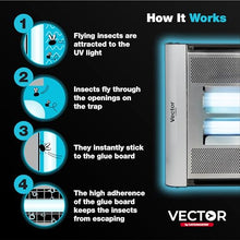 Catchmaster Vector Plasma Screened Wall-Mounted UV Fly Light Trap - 2,850 sq. ft. Catch Zone, Fly Trap for Dining Rooms & Commercial Kitchens and Fresh & Dry Food Storage, UV Lamp Flying Insect Killer