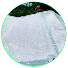 Transparent Tarpaulin Plant Flower Cover Waterproof PVC Plastic Tarp with Eyelets, Plant Sheet Covers Rainproof, 0. 35mm Thick, 400g/m² (Color : 0.35mm, Size : 2x4m/6.56x13.12ft)