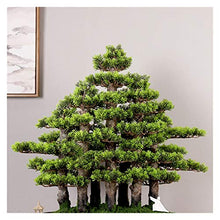Creative Simulation Welcome Pine Bonsai Chinese Living Room Potted Large Green Plants Indoor TV Cabinet Landscape Decoration Gifts House Plant (Color : B)