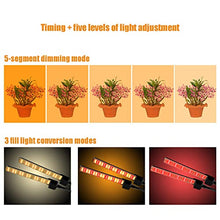 1-4 Heads Grow Light for Indoor Plants, Clip on Plant Growing Lamp, 3/9/12 Timer, 360° Adjustable Gooseneck, 5 Segment Dimming Mode, 3 mo