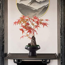 Bonsai Tree Chinese Zen Potted Model House Soft Decoration Porch Red Maple Stone Bonsai Ornaments for Garden Decoration and Desktop Display