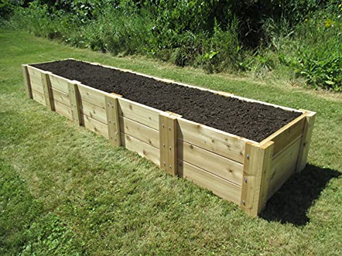 Infinite Cedar Deep Root Cedar Raised Bed Garden Kit 2 ft. x 10 ft. x 16.5 inches H