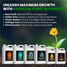 Humboldts Secret Starter Kit, Plant Fertilizer & Hydroponic Nutrients, XL