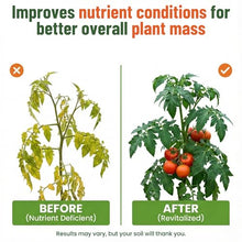 GS Plant Foods Liquid Kelp Fertilizer – Suitable for Organic Growing, OMRI Listed Seaweed Concentrate for Lawns, Gardens & Soil - 275 Gallons