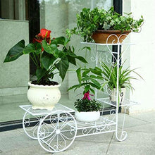 SIDUFHAOPKLL 4 Layers Plants Stand Flower Rack Metal Indoor Plant Shelves Multi-story Outdoor Floor Shelf Balcony(Black)