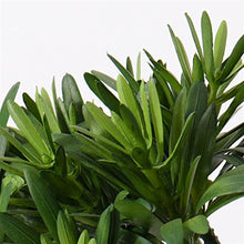 Fake Plants Creative Simulation Bonsai Small Artificial Bonsai Tree Plants with Ceramic Pots Handmade Bonsai Decoration for Home Office Bonsai Tree