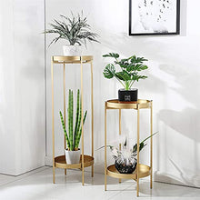 RWGOVLU Plant Stand Plant Stand 2 Tier Metal Outdoor & Indoor Potted Flower Stand Display Shelf for Home Garden Patio