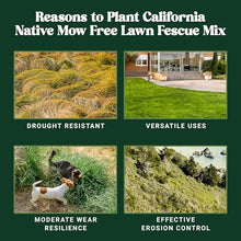Nature’s Seed Native Fine Fescue Grass Seed Mix Blend, Shade and Drought Tolerant, Cool-Season, for Lawn, Home Garden, Yard, Meadow Landscape, 5 Lbs