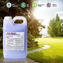 Avian Migrate, Goose Deterrent, Bird Repellent Concentrate, Geese Repellent, Non-Toxic, Removes Geese from Yards, Parks, Beaches, Ponds and Ground, Made in The USA (2.5 Gallon)