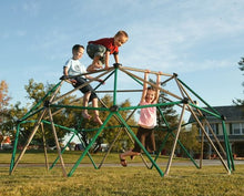 Lifetime Geometric Dome Climber Play Center Earthtone