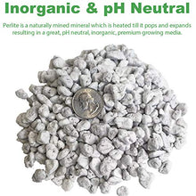 Viagrow VPERCH1-80 Chunky Perlite 29.9 Quarts White