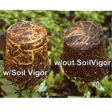 Soil Vigor Potassium Polyacrylate Water Storing Crystals for Plants 40 Pounds White