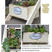 RWGOVLU Flower Stand Natural Material Multi-Layer Mini Desktop Ladder Small Flower Shelf Storage Rack Creative Decorative Ornaments Plant Stand
