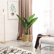 SIDUFHAOPKLL Indoor Floor Plant Rack Living Room Green Rose Iron Flower Large Flowerpot Gold(30x40cm)