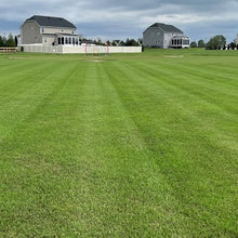 Outsidepride Maya (Blackjack II) Bermuda Grass Seed - 50 lbs Warm Season, Drought Tolerant, Fast Growing, Fine-Textured Bermuda Grass Seeds for Lawn, Parks, Golf Courses & Sports Fields