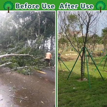 REMYS Windproof Plant Fixed Support Frame for 4"-15" Dia Tree Protection, Heavy Duty Tree Stake Supports, 3 4 5 6 7 8 Ft Tall(Green-Dia (9 4/5in),6.5ft)