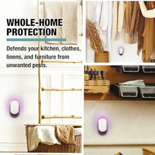 Brookstone Plug-in Flying Insect Trap, White – UV Light Indoor Bug Trap with 2 Glue Board Refills, Quiet & Mess-Free Device for Home, Kitchen & Office