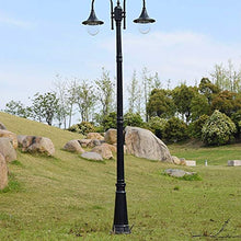 Lights Outdoor Black High Pole Street Light E27 Super Bright Outdoor Lighting Landscape Post Lamp Professional IP65 Waterproof Aluminum Alloy Street Lamp with Acrylic Lampshade Stadium (Color : 2-Ligh