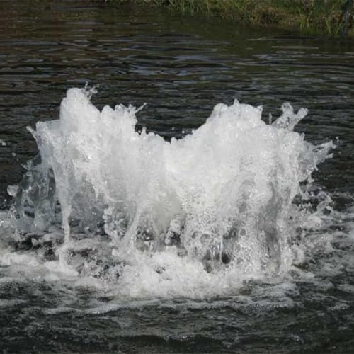 Scott Aerator Boilermaker Surface Aerator | 1 HP 230V 150ft Cord