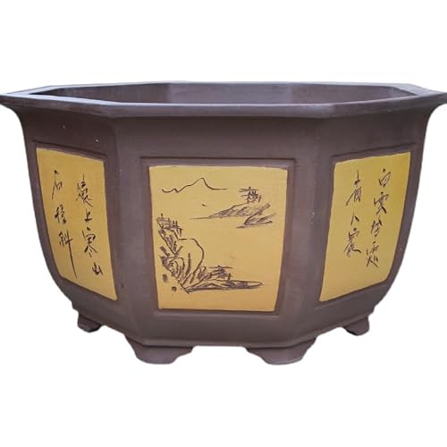 GizmoBox Planter Boxes Outdoor Octagonal Large Calibre Alabaster Flower pots Planting containers Fortune Tree Ceramic Bonsai Planting Pots