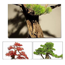 Fake Bonsai Tree Artificial Bonsai Welcoming Pine Landscape Green Plants Home Bonsai Pine Tree Decorations Artificial Bonsai Tree (Color : C)