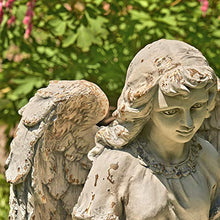 Zaer Ltd. Large Magnesium Angel Statues (Outdoor Safe) (24”T Kneeling with a Dress Birdbath Cassiel)
