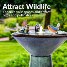 Sunnydaze 28" Ceramic Garden Water Fountain with LED Lights & Bird Accents