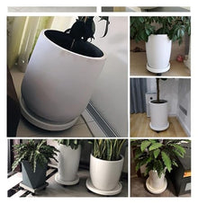 QUANGJN Heavy Duty Plant Caddy with Wheels 120Kg Capacity Rolling Plant Stand for Large Potted Plants,M