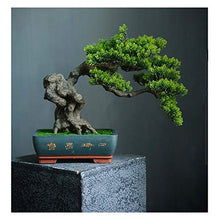 YXIANG56Q Fake Plants Grade Simulation Welcome to Tree Tree Bonsai Hotel Office Tea Several Live Hall Extreme Decoration Beautiful Items Bonsai Tree(D)