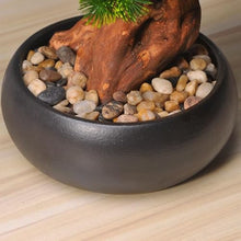 QWERAXZG Decoration Porch Chinese Home Hotel Model Room Simulation Welcome Pine Bonsai