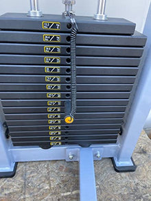 French Fitness Shasta Prone Leg Curl (New)