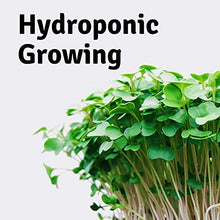 Handy Pantry Micro-Mats Hydroponic Grow Pads 500 Pack White