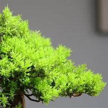 YXIANG56Q Fake Plants Chinese Hotel Desktop Landscaping Artificial Cypress Leaves Potted Bonsai Ornaments Simulation Tree Bonsai Tree, yuqing2022