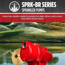 Red Lion RL-SPRK-150-BR Sprinkler/Irrigation Pump,115/230V, 71 GPM, 1.5 HP