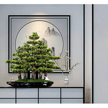 Creative Simulation Welcome Pine Bonsai Chinese Living Room Potted Large Green Plants Indoor TV Cabinet Landscape Decoration Gifts House Plant (Color : B)